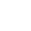 euro